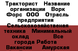 Тракторист › Название организации ­ Ворк Форс, ООО › Отрасль предприятия ­ Сельскохозяйственая техника › Минимальный оклад ­ 42 000 - Все города Работа » Вакансии   . Амурская обл.,Благовещенский р-н